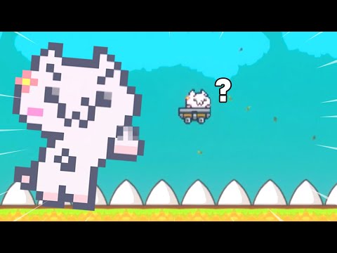 고양이마리오 이제 개고숩니다 보여드립니다