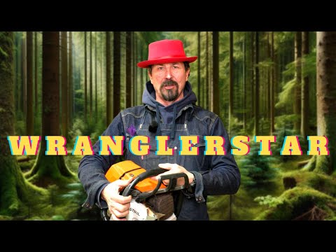 Top 10 Chainsaw Tricks Every Man Must Know