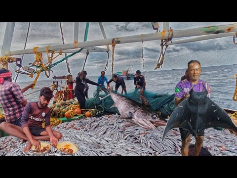 Day-4||Epic2 ‼️😱 WOW💢 Amazing Caught In Lots Of Ribbon Fish In Kerala Fishing💯💢