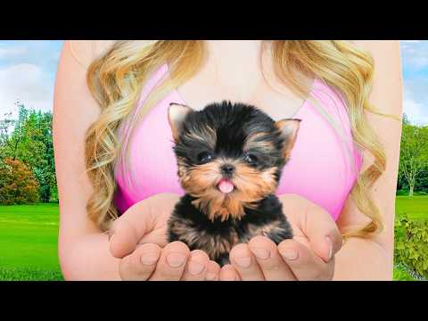 I Adopted The World's SMALLEST DOG!