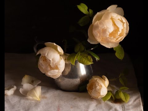 Painting Roses: Ignore the petals! Simplify the form first - Live Oil Painting demonstration