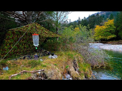 Wild Camping by a River in the Forest | British Army Basha Shelter