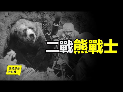 The WWII bear warrior : Smoking, drinking, flirting, promoted to corporal … | Self Talking President