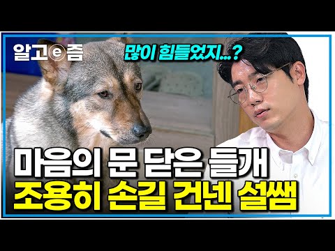 "살아남느라 고생했구나" 천사 보호자의 따뜻한 돌봄에도 여전히 경계하는 들개 출신 반려견의 모습에 마음 아픈 설쌤｜세상에 나쁜 개는 없다｜알고e즘