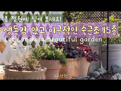 #48, 땅이 얼기전에 구근을 심어요 🌷🌼/ 생명력 강한 숙근초 돌아보기 / 막바지 가을정원🍁