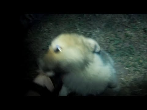 Дорога до Караколя и райский остров рыбака. (День 30-32)