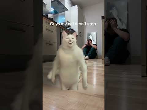 No amount of dreamies will stop him