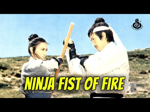 Wu Tang Collection - Ninja Fist of Fire