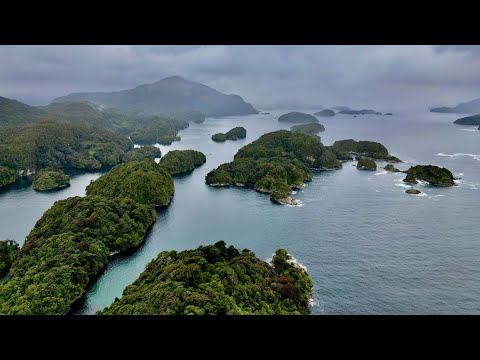 FIORDLAND NZ - Epic Fishing Hunting & Diving Adventure (Remote)