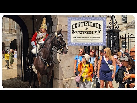 70 Times The Guard Ran Out of PATIENCE and Let Rip at Tourists!