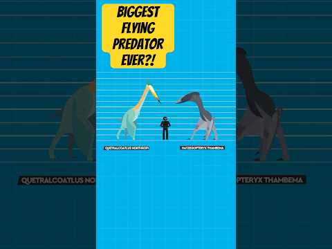 What's The Largest Flying Animal Ever? #predators #naturalhistory #dinosaurfacts