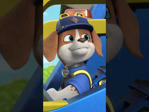 Rubble & Crew salvam a prefeitura! #Shorts