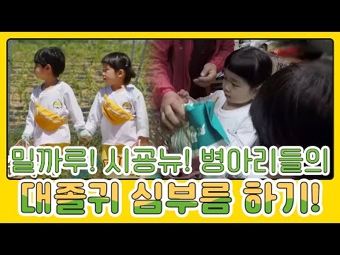 Milkaru~ Shigeunyu~ The smell of baby formula🐣 from the chicks🐣🍼 A college graduate-like errand t...