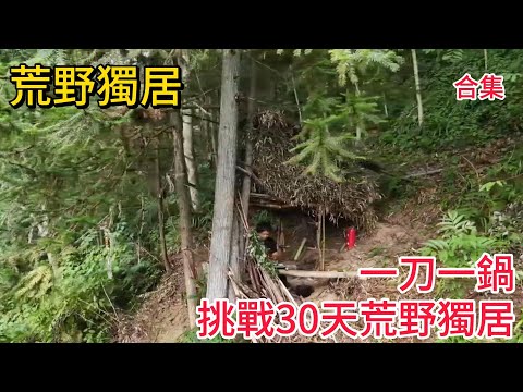 【30天荒野獨居】開局一把刀！看他如何從荒野難民變成荒野土豪，連蛤蟆都收編當寵物！