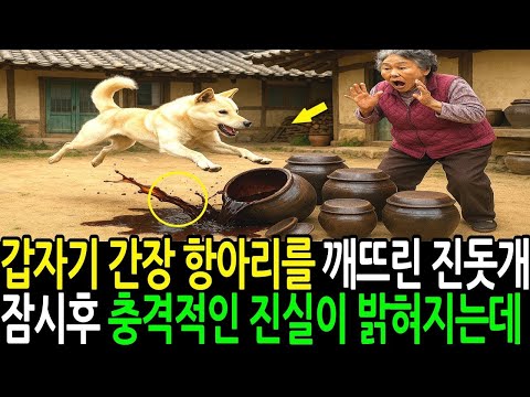 갑자기 간장 항아리를 깨뜨린 진돗개 잠시후 충격적인 진실이 밝혀지는데