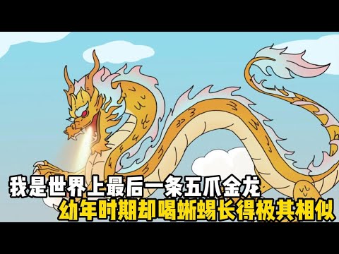 我是世界上最後一條五爪金龍，幼年時期卻喝蜥蜴長得極其相似，於是被人類當作稀有閃光#原創動畫 #沙雕動畫 #動畫