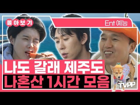 【#TVPP】 언제 가도 좋은 제주도의 정취를 느껴보자!🍊🌊 나혼산 1시간 몰아보기 | 나혼자산다 | TVPP | MBC 210212 방송 외
