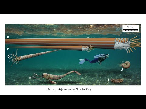 Największe wymarłe zwierzęta / dr Daniel Tyborowski