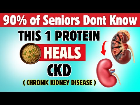 Top Nephrologist Reveals BEST Proteins for Kidney Health & CKD