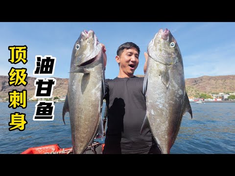 《佛得角》第3集：花三天时间，只为解锁上千元一条的顶级刺身，鱼肉油脂满满还弹牙，吊打金枪鱼！#抓龙虾 #赶海 #潜水 #海钓 #金枪鱼 #油甘鱼 #顶级刺身 #fishing #大西洋
