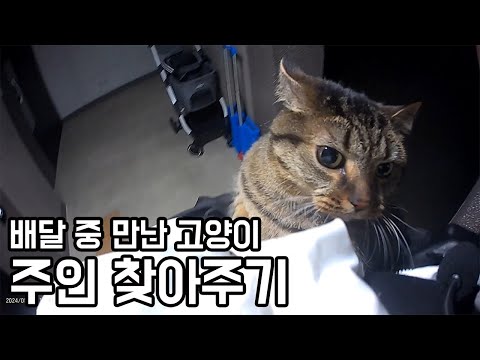 Why is the cat here?? #blackbox #cat #runaway