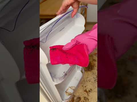 THE WORLD'S BEST CLEANER 😍 #transformation #deepcleaning