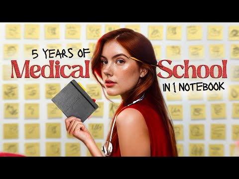 Photographic Memory: My System to Remember Everything