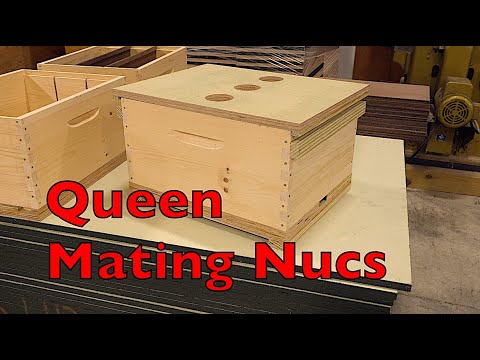 Three Way Queen Mating Nucs: How & Why