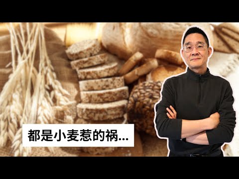 Ep 72 与麸质相关的疾病 你知道多少？｜乳糜泻｜小麦过敏｜非乳糜泻麸质敏感NCGS