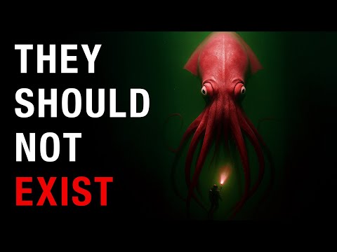Why Deep Sea Creatures Grow So Terrifyingly Huge?