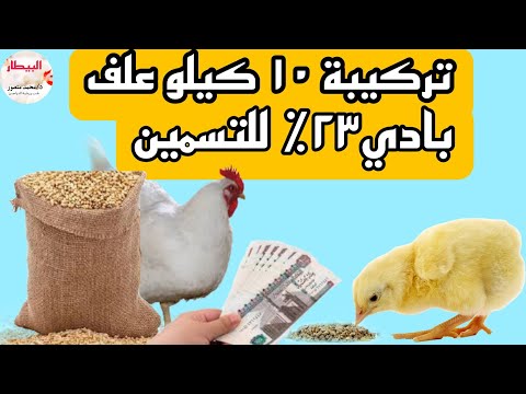 علف تسمين ٢٣٪ من العيش وكسر القمح والشعير | هيوفر معاك ٢٢ الف جنيه في ١٠٠٠ فرخ 🐥👌