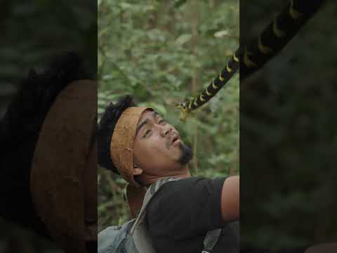 world's deadliest hide & seek game!