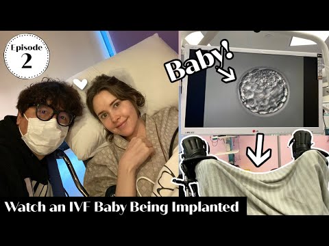 IVF Egg Retrieval & Embryo Transfer | Our Fertility Journey Episode 2