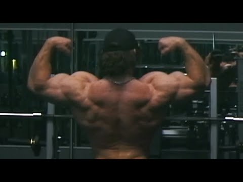 Cutzilla Day 116 - Back to the Future