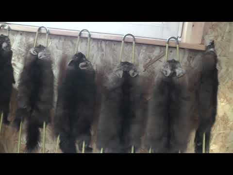 How to properly mount a sable on a rig.