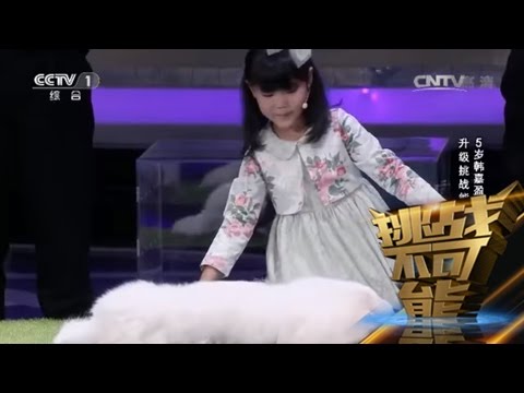 #挑战不可能 第一季总决赛：5岁韩嘉盈哄睡萌宠 升级催眠挑战能否成功 | CCTV挑战不可能官方频道