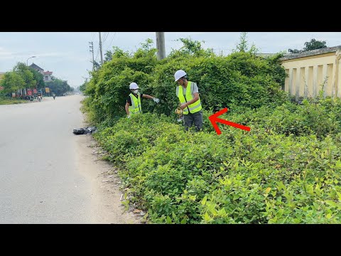 A ''CURSED'' Sidewalk? Only We Had the Guts to Clean It!