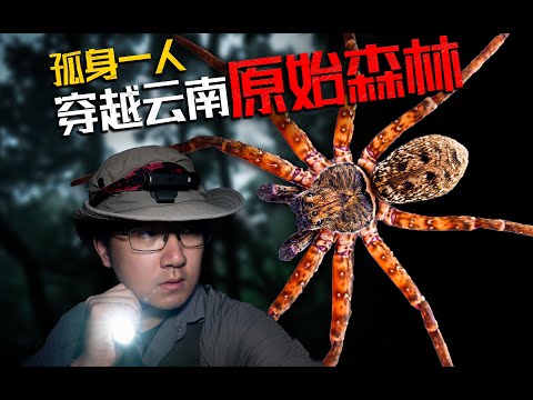 孤身一人穿越云南原始森林！胆量与耐力的终极考验！| 斯洛勇闯大理高海拔密林