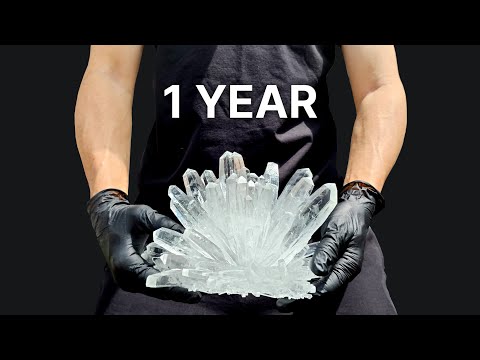 I Grew a Giant Crystal from Fertilizer for 365 Days