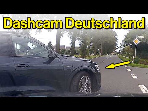 Blödheit des Jahres, Hund läuft vors Auto und Bodenwellen | Dashcam Deutschland #166 | #germany