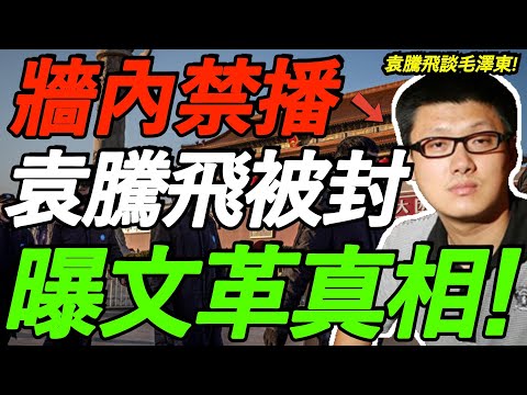 【墙内禁播】袁腾飞全网封杀！曝毛泽东发动文革真相，内容极其大胆劲爆！每一句都相当震撼！