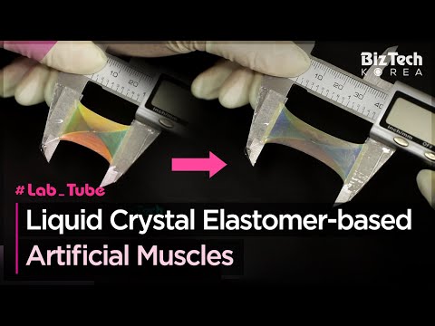 [BizTech KOREA] Liquid Crystal Elastomer-based Artificial Muscles [#Lab_Tube]