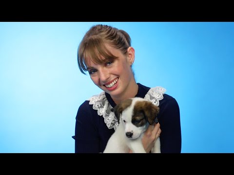 Maya Hawke Plays With Puppies While Answering Fan Questions