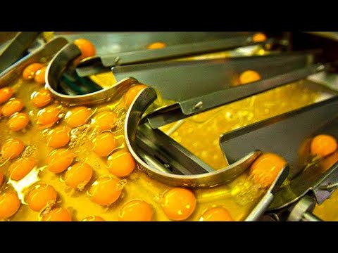 These Machines Are on a Whole New Level !