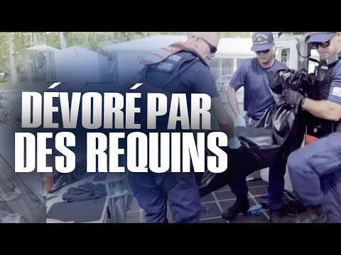 Garde-côtes sous le choc : un cadavre mutilé par les requins ! Reportage - CF