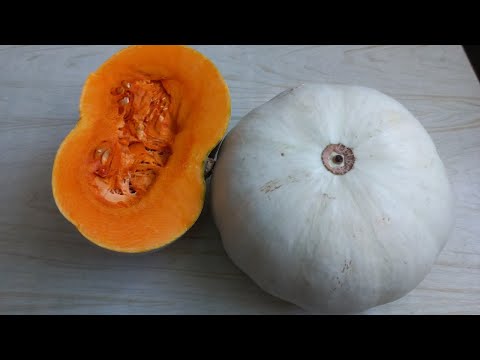 Once you try this pumpkin variety, you will never give it up again.