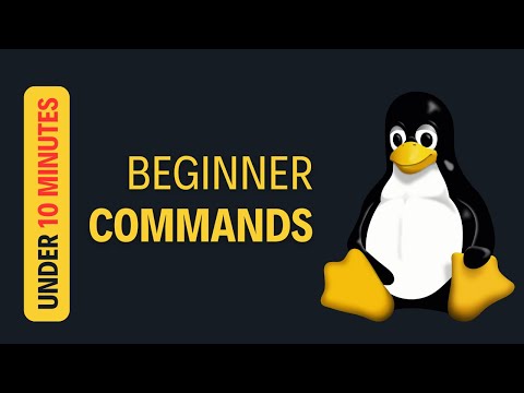 30 Linux Commands Simplified for Beginners in 10 Minutes