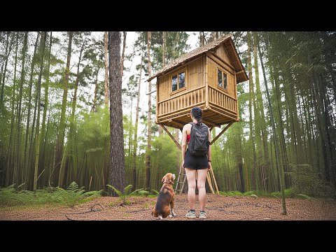 TIMELAPSE - Girl Builds Incredible Bamboo Tree House in the Woods | From Start to Finish