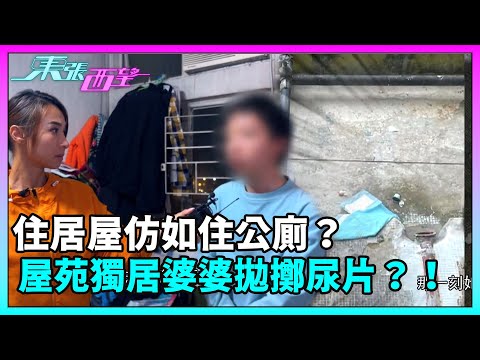 東張西望｜住居屋仿如住公廁？青衣屋苑有住戶懷疑某獨居婆婆經常拋擲尿片到平台？！｜TVBUSA｜民生