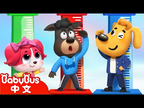 警察體檢日 | 警长的日常 | 車車 | 動畫 | Kids Cartoon | 安全教育 | 安全警長啦咘啦哆 | 寶寶巴士 BabyBus
